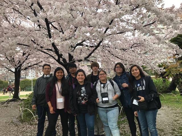 The members of the Japanese Culture Club - (Back row) Aaron Flores, Cristian Cruz, Alexander Gonzales, Brisa Botello (Front row) Luisa Sanchez, Nathalie Anguiano, Arien Valencia, and Ulyssa Robledo arrived at a Japan in an extremely opportune time as they got to enjoy the scenery of  the cherry blossom trees provided in Osaka. “The abundance of Cherry blossom trees created a tunnel, and when the wind would come by the petals fell creating a visual representation of snow, it was so gorgeous and majestic”, described Nathalie Anguiano. 

