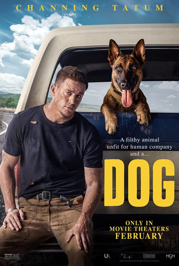 Movie+Review%3A+Dog