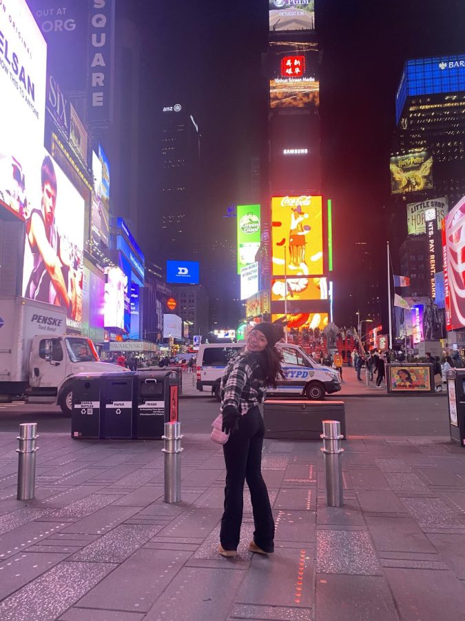 I have always imagined Times Square being a bigger place, but it still looked as pretty and populated as I have seen it on TV.