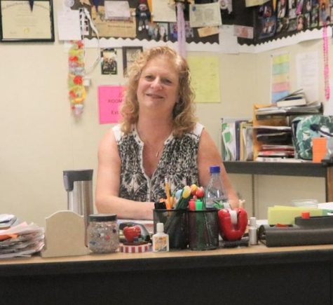 AP Statistics teacher Carola Beussen is excited for next year and the prospect of teaching two sections of the class, but shed like to have even more.