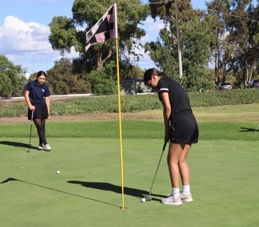 At their match against King CIty High School and Notre Dame High School on September 20, senior Arianna Saldana makes a putt at the 3rd hole on the King City Golf Course. The Trojans would fall short to both the Spirits and the Mustangs, 349-324-322.  