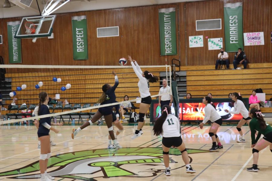 Team captain Larissa Vasquez blocks Notre Dame’s attempt at scoring a point. The Trojans fell to the Spirits 0-3 in both matchups this year.