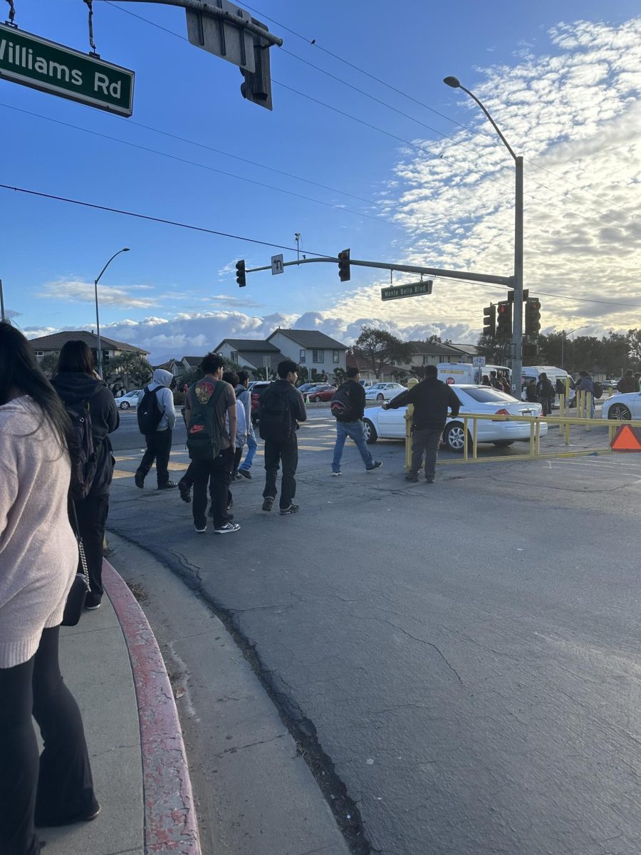 Alisal+students+crossing+the+street+after+school+on+November+30%2C+2023%2C+directly+across+from+where+a+student+was+hit+by+a+car.+Campus+supervisor+Dove+Garcia%2C+who+spends+time+at+the+front+monitoring+students%2C+is+concerned+for+students%E2%80%99+safety.+%E2%80%9CI%E2%80%99ve+seen+when+somebody+is+distracted%2C+theyre+on+their+phones%E2%80%A6+they+dont+see+that+they+have+a+red+light+and+keep+going%2C%E2%80%9D+Garcia+said.