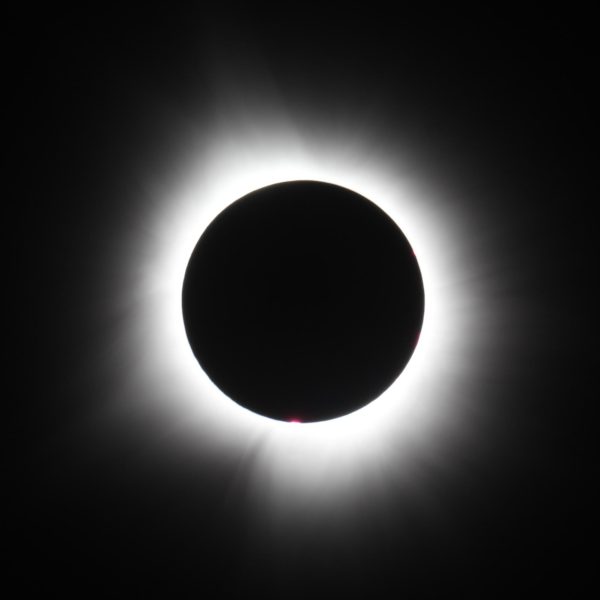 Solar eclipse of April 2024 from Indianapolis.  (Osunpokeh, CC BY-SA 4.0 , via Wikimedia Commons)