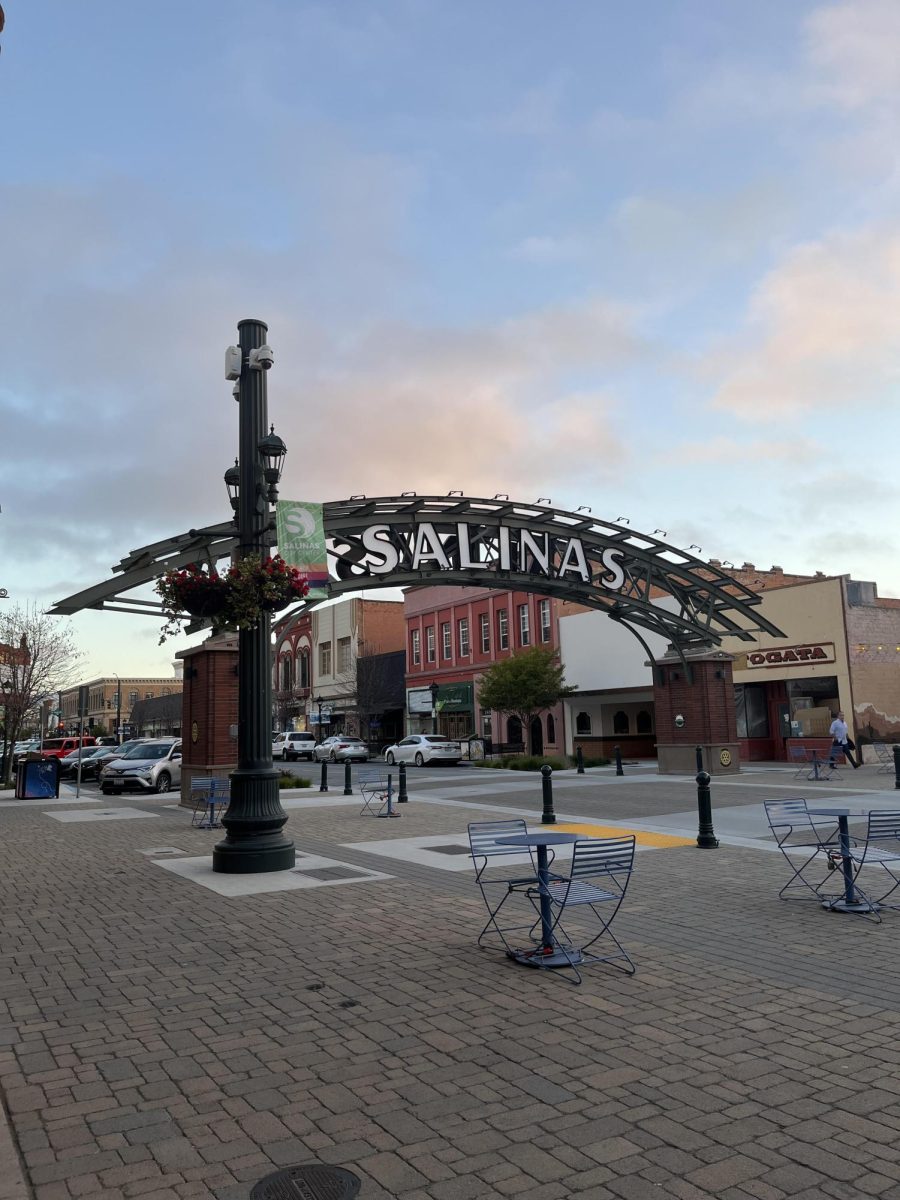 Salinas is a very small town, but this doesn’t mean that there’s nothing to do and no way to have fun. There are many ways to entertain yourself and have a fun weekend. 
