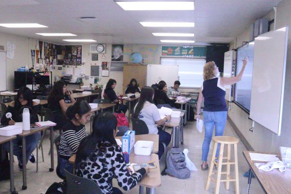 Ms. Beussen goes over a problem from a test with her AP Statistics class. Beussen has had around a 77% pass rate the last couple of years. “[Last year] We had a higher passing rate than the state and globally,” she said. 
