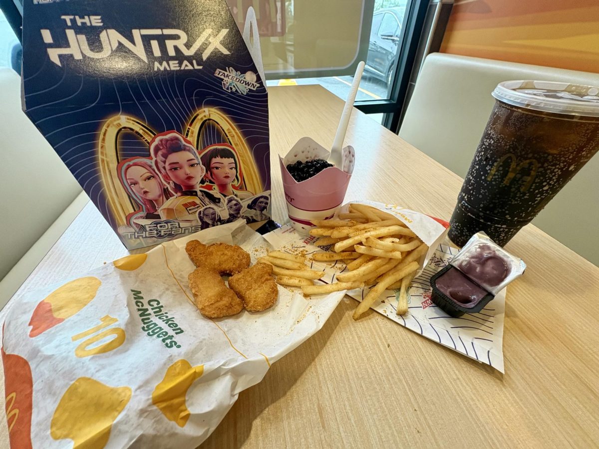 After trying the Huntress meal, I gotta say the Ramyeon McShaker fries actually hit different. They were crispy, well seasoned and it wasn’t funky this time like the Grinch meal fries. The rest of the meal was pretty much your usual McDonald’s nugget combo though, nothing too crazy.
