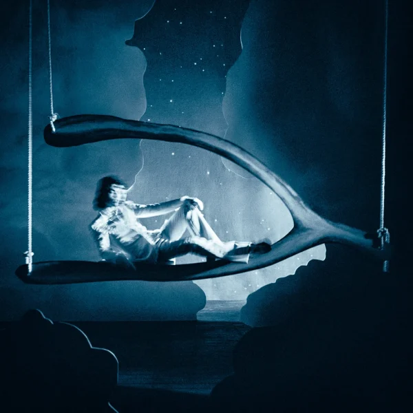 After releasing Wishbone, Conan Gray worked secretly (again) and later released the deluxe version, adding 5 songs to the original 12. (Republic Records)
